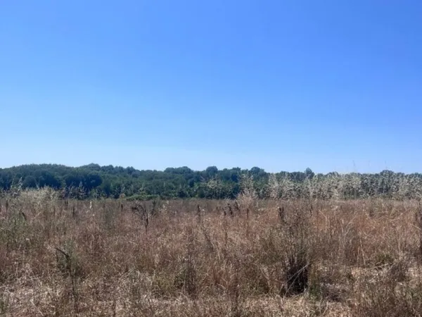 Terrain 338 m²