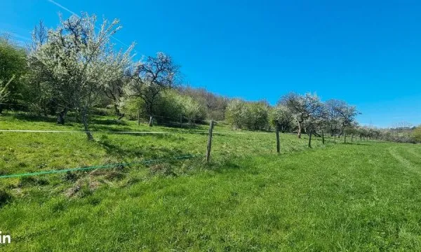 Bien agricole et foncier Vente Favières  500m² 15000€
