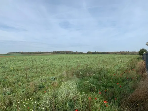 Terrain 200 m²
