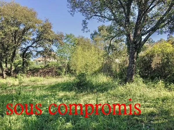 Terrain constructible