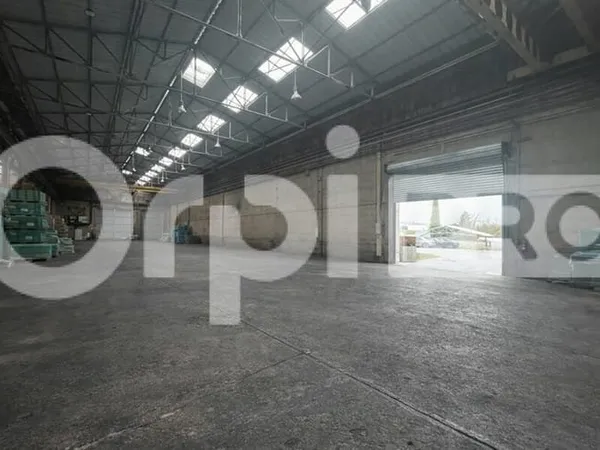 Local d'activité 237 m²
