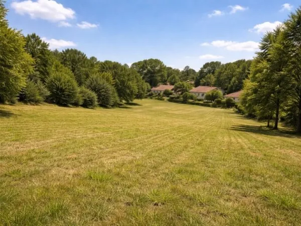 Terrain 1000 m²