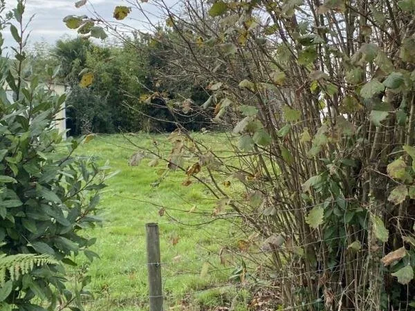 Terrain à bâtir 315m² - LA HAIE FOUASSIERE