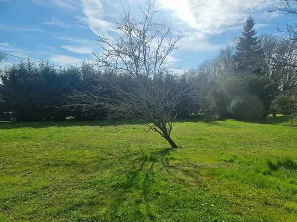 POMMEUSE - TERRAIN À BÂTIR 496 M² - FAÇADE 16 M - LIBRE CONSTRUCTEUR
