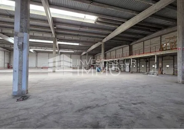 Entrepôt 6081 m²