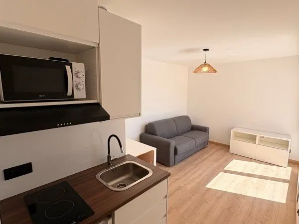 Studio entièrement rénové - Plein Sud - Terrasse - Souffelweyersheim