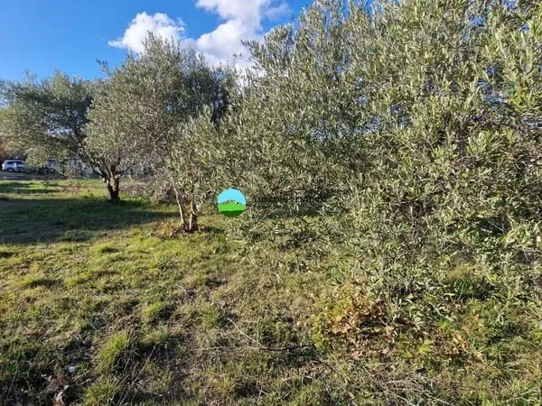 Terrain constructible 504 m²