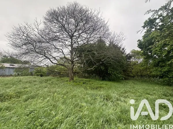 Terrain 3445 m²
