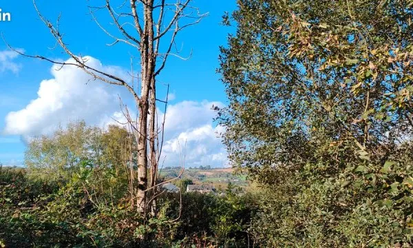 Terrain Pont de Buis 450 m2