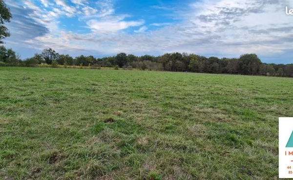 Terrain 4969 m² MAISDON SUR SEVRE