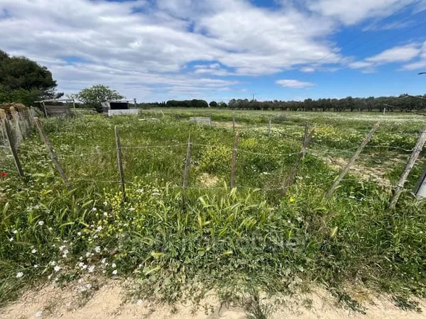 Terrain 3984 m²
