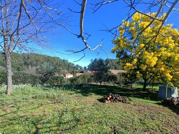 Terrain 728 m²