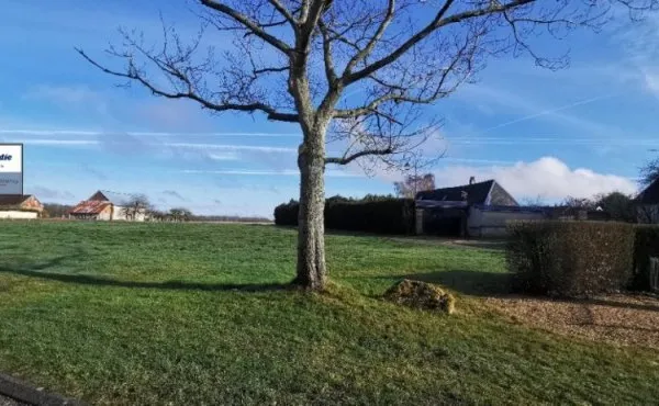 Terrain 668 m²