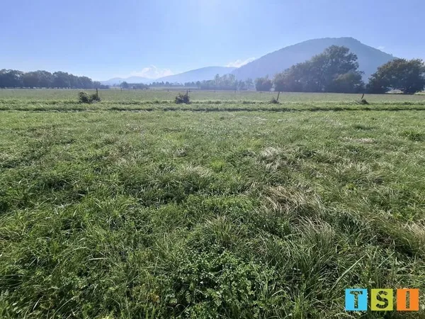 Terrain à bâtir Vente Martres-de-Rivière  3080m² 39000€