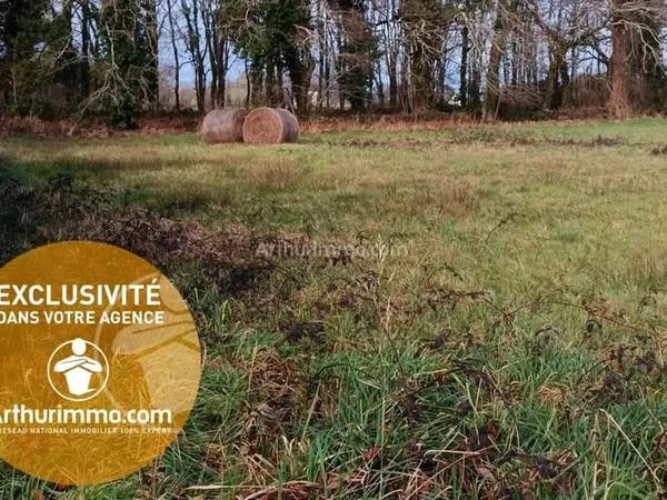 Terrain 550 m²