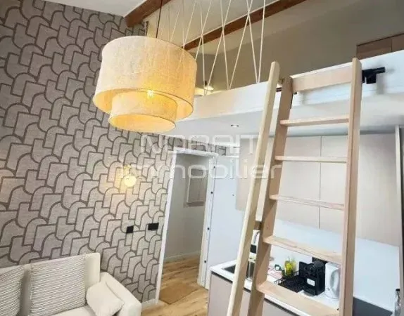 2 pièces mezzanine - le port - locatif