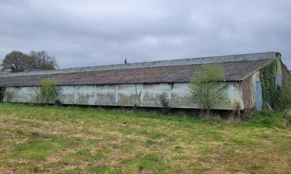 Rare sur le secteur, 6 hectares, 2 bâtiments ( ancien poulailler et Hangar en briques et couverture 