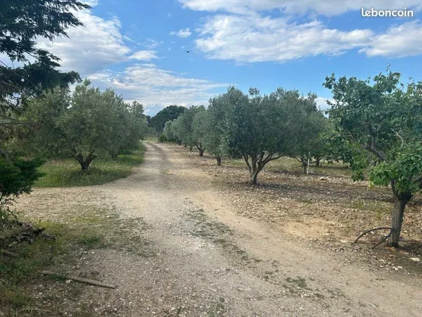 Bien agricole et foncier Vente Narbonne  10000m² 120000€