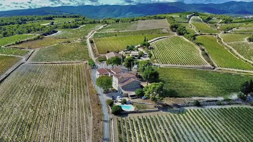Vignoble 460000 m²