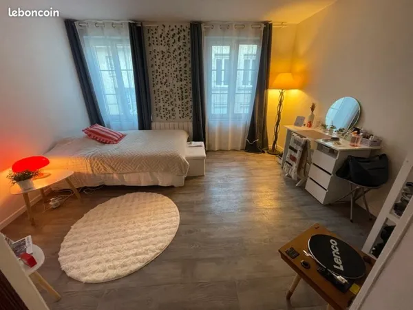 Appartement studio hypercentre