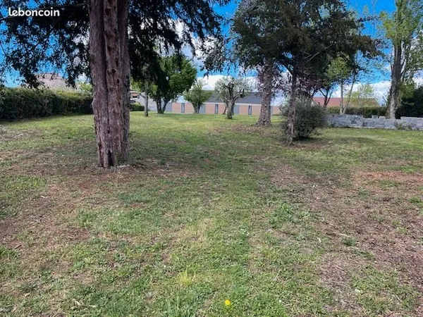 Terrain arboré