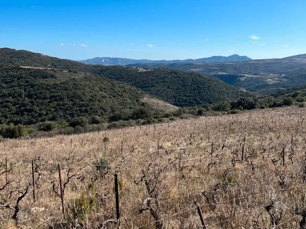 Terrain 4150 m²