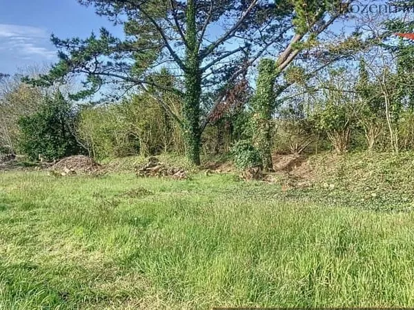 Terrain à bâtir Vente Pluguffan  1177m² 156555€