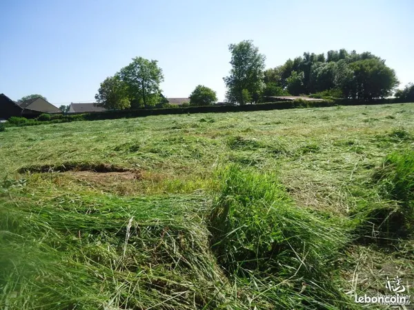 Terrain 1415 m² WESTREHEM
