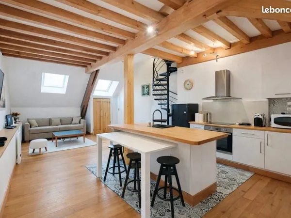 Immeuble ancien rénové, 2 appartements meublés Beaune centre