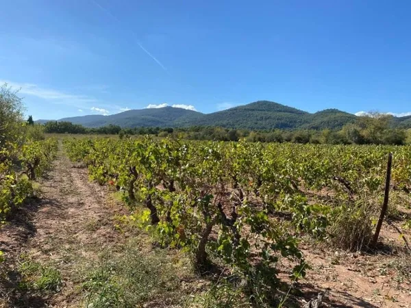 Terrain 700 m²