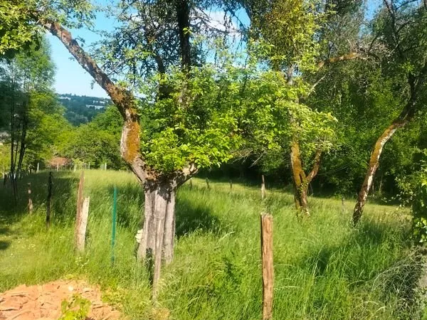 Bien agricole et foncier Vente Bar-le-Duc   5500€