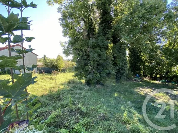 Terrain 260 m²
