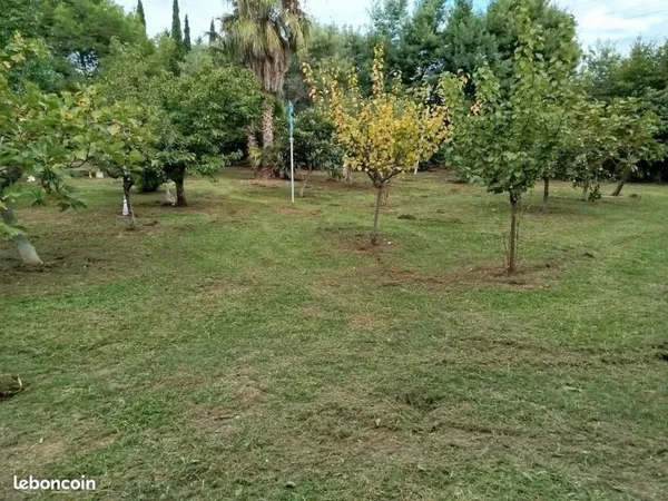 A saisir Terrain 1 650 m2 sur Perpignan Sud