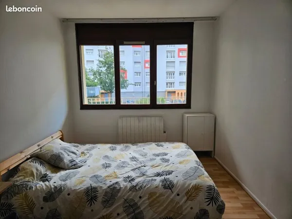 Colocation Strasbourg