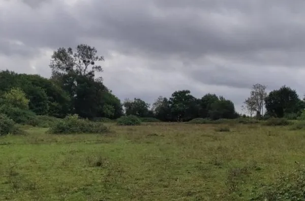 Terrain 835 m²