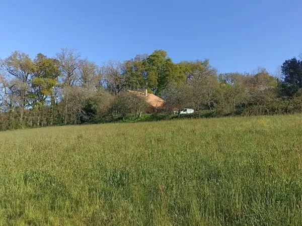 Terrain 1393 m²