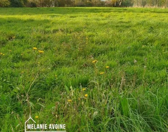 Terrain 2140 m²
