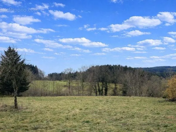 Terrain constructible 888 m2 Centre village