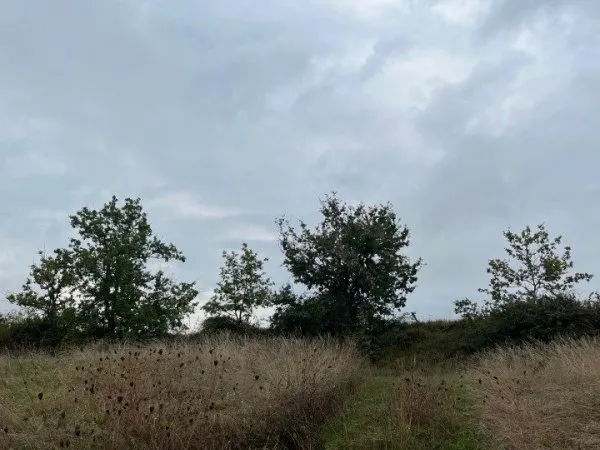 Terrain 768 m²