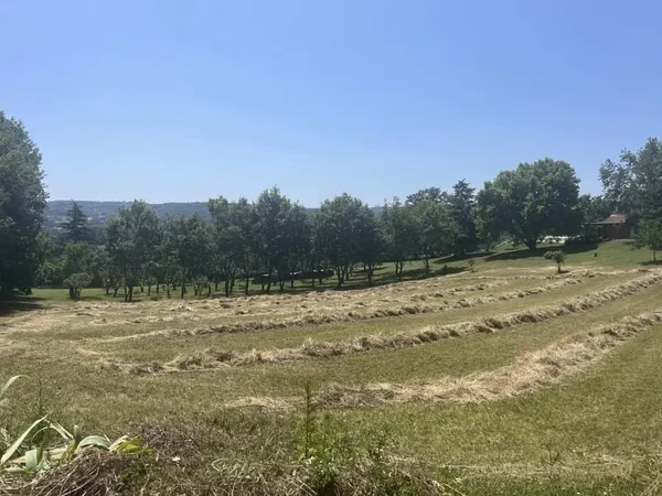 Terrain constructible