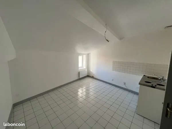 Appartement 1 pièce 20 m²