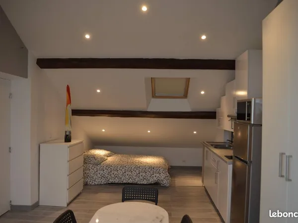 Particulier loue studio Loft proche Part-Dieu
