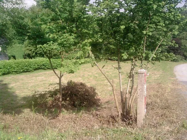Terrain constructible