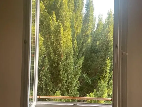 Velpeau - t3 avec grand jardin