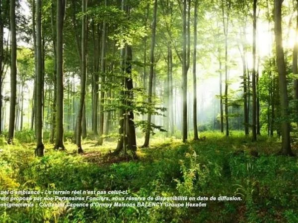 Terrain 905 m²