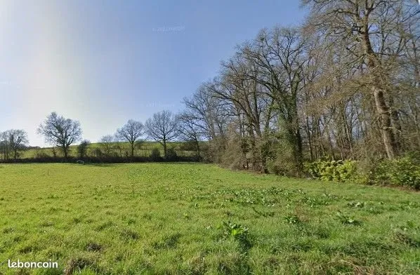 Terrain constructible
