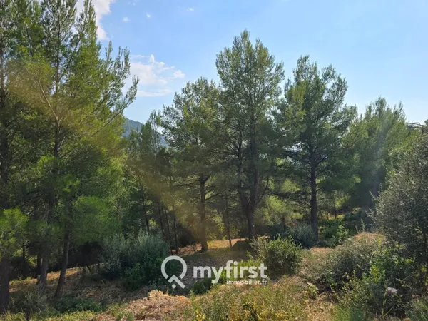 Terrain en individuel 2330 m²