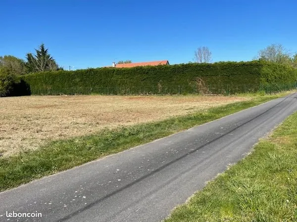 Terrain constructible
