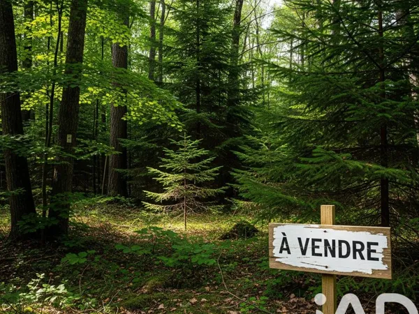 Terrain 12875 m²