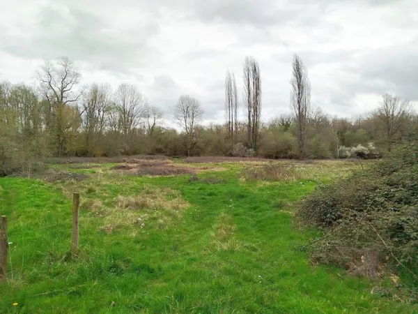 À vendre : Terrain agricole de 9 170 m2 avec accès direct et